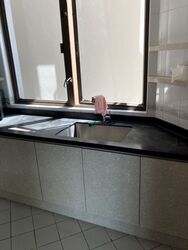 Parc Oasis (D22), Condominium #561124961
